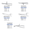 Bone Holding Forceps